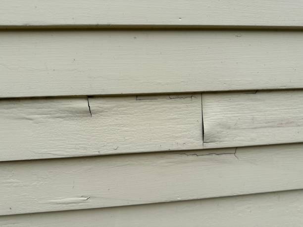 Same-Day Junk Removal Services in Bristol, WI